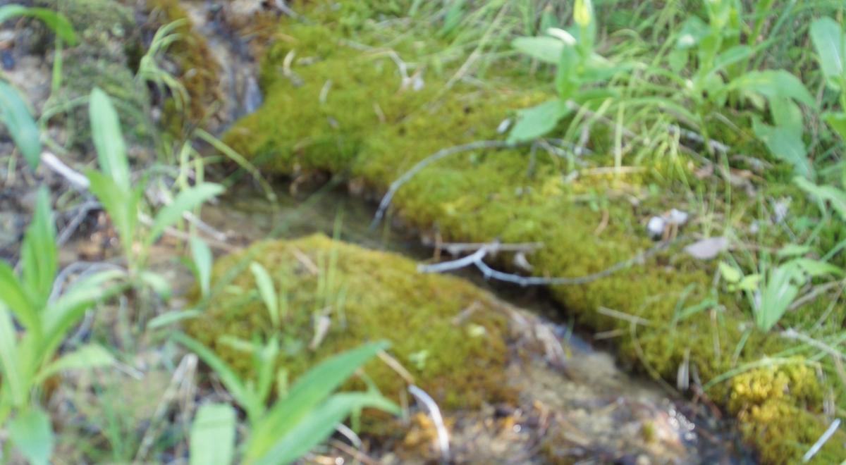 Rando curieuse : Les mille cascades avec Hervé_Baratier