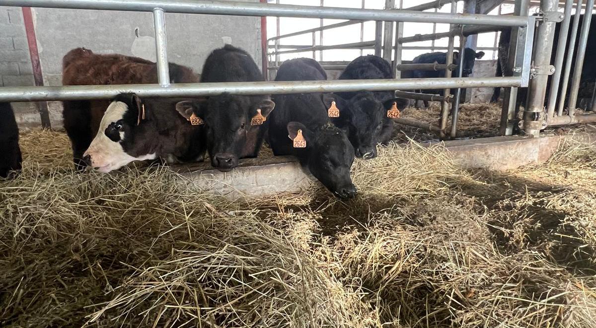 Visite gratuite de la Ferme des Pélissones_Seyne