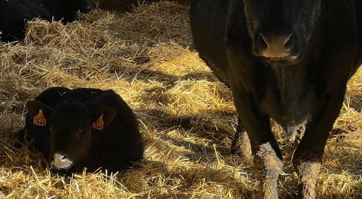 Visite gratuite de la Ferme des Pélissones_Seyne