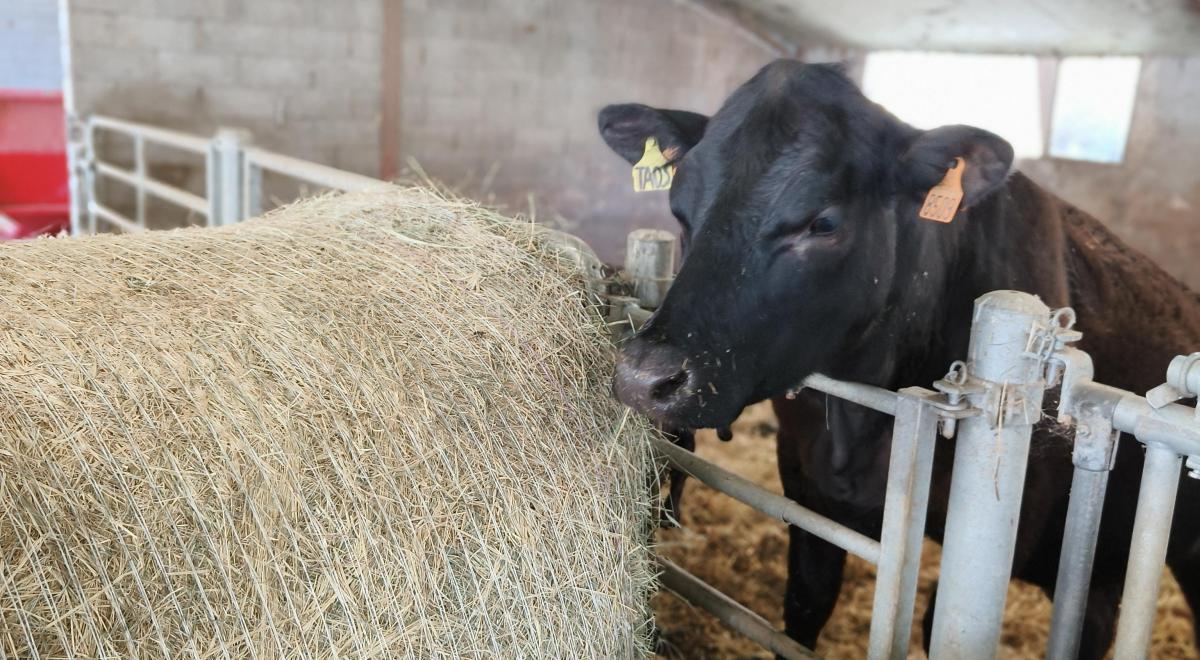 Visite gratuite de la Ferme des Pélissones_Seyne