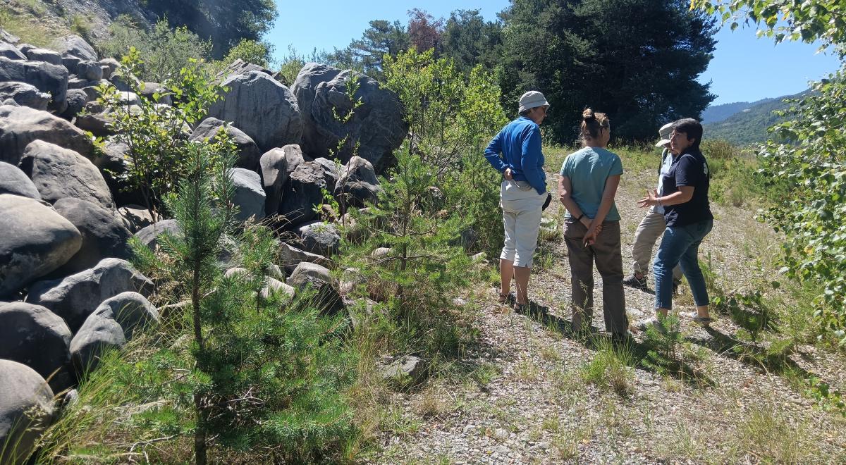 Géotour La Vallée de la Blanche, route de la mémoire de la Terre_Seyne