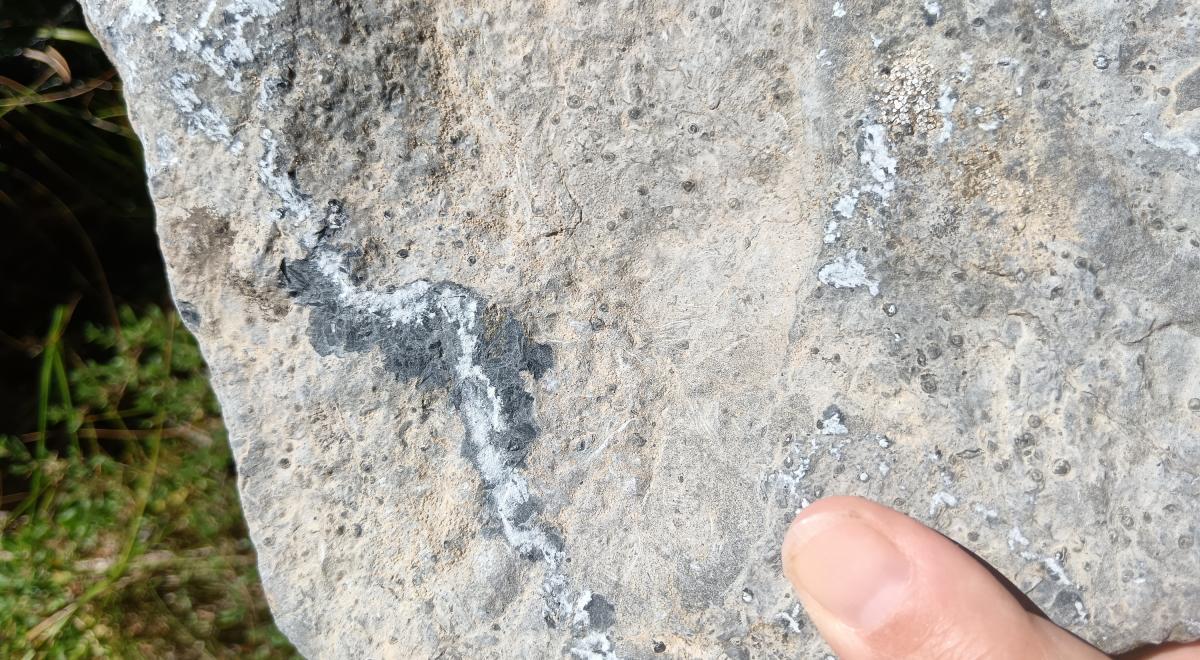 Géotour La Vallée de la Blanche, route de la mémoire de la Terre_Seyne