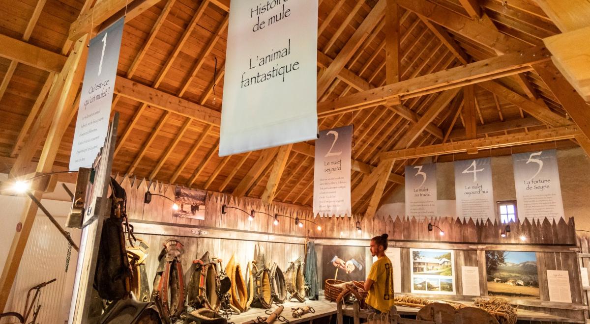 expo permanente Maison du Mulet - expo permanente Maison du Mulet