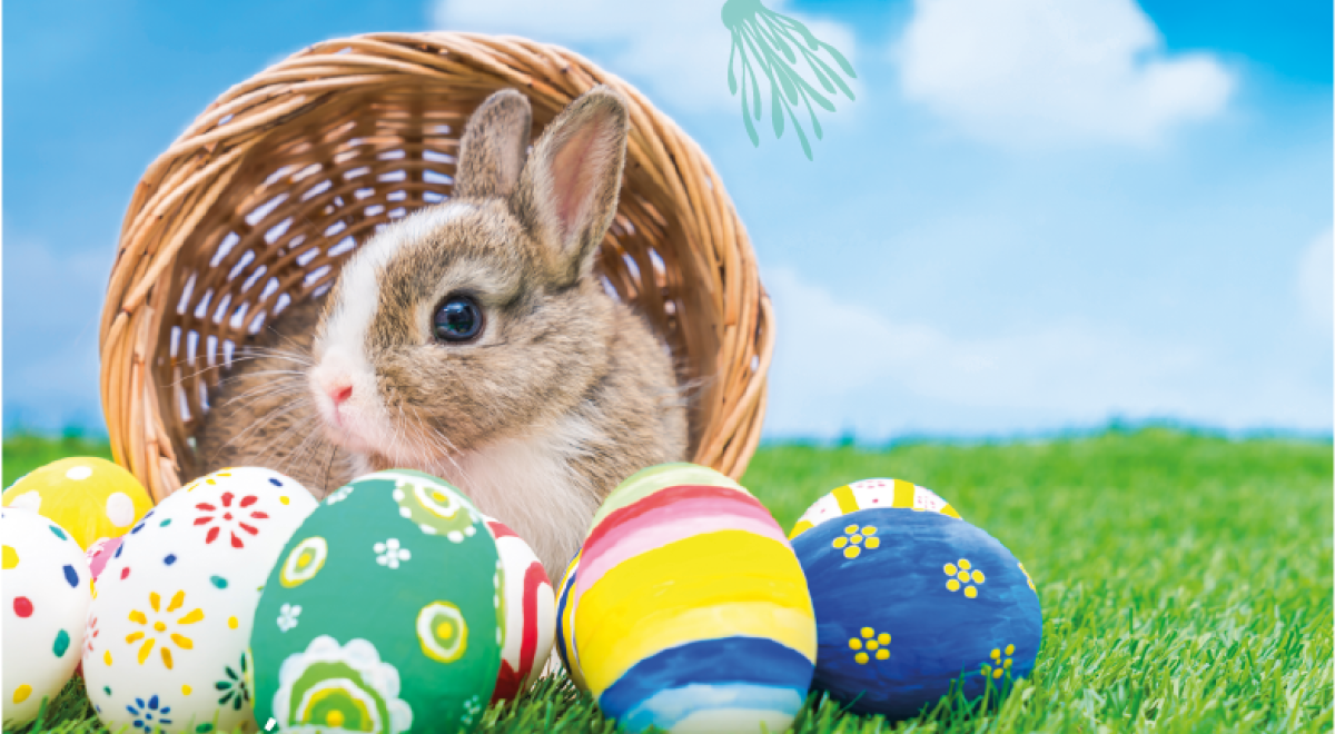Pâques au Fort - Panier avec des oeufs de pâques