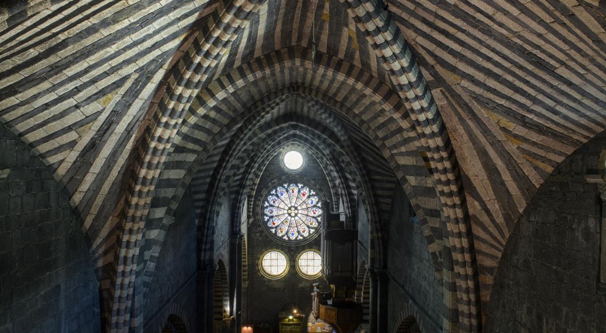 Cathédrale d'Embrun - Voûtes