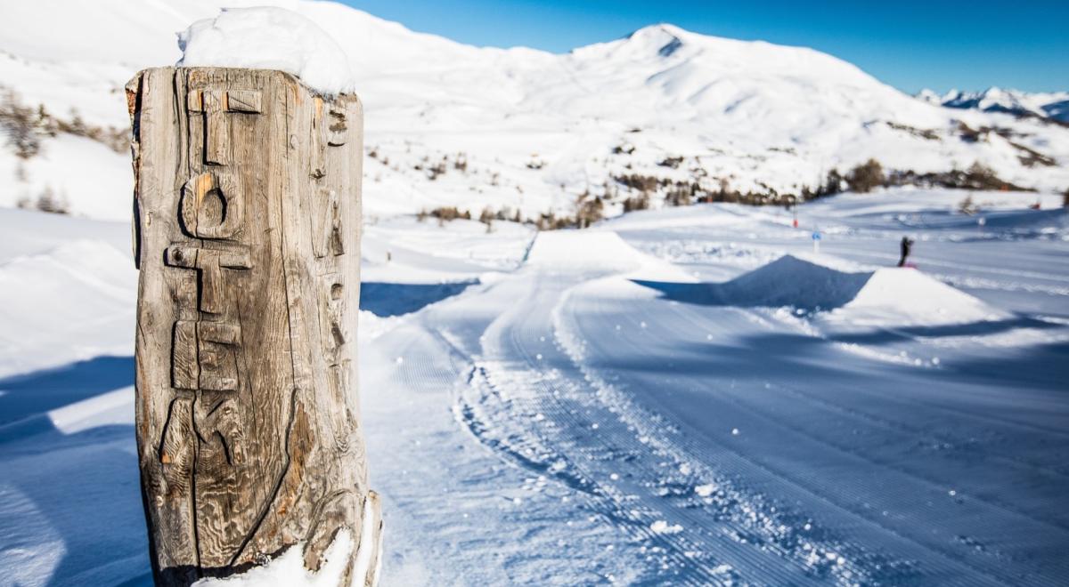 Woody Waves - Woody Waves