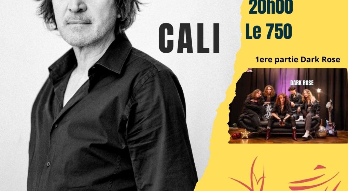 Piol'Hit Festival : Cali en concert._La Bâtie-Neuve