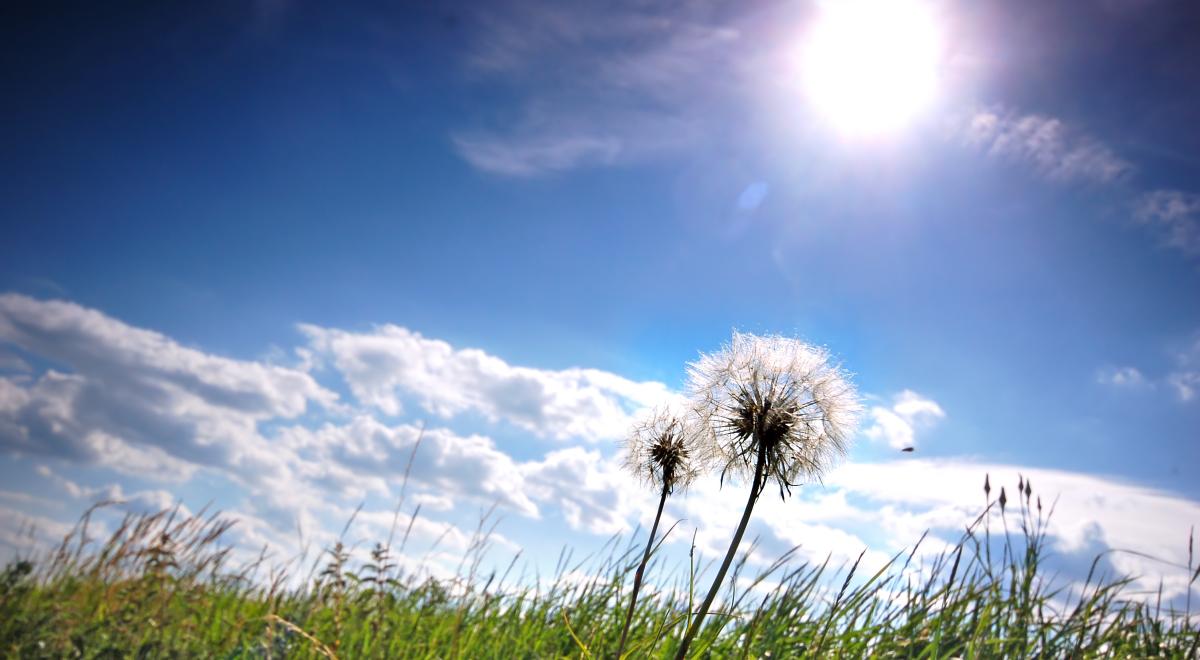 Conférence : Connaître le soleil_Les Orres - Conférence : Connaître le soleil_Les Orres
