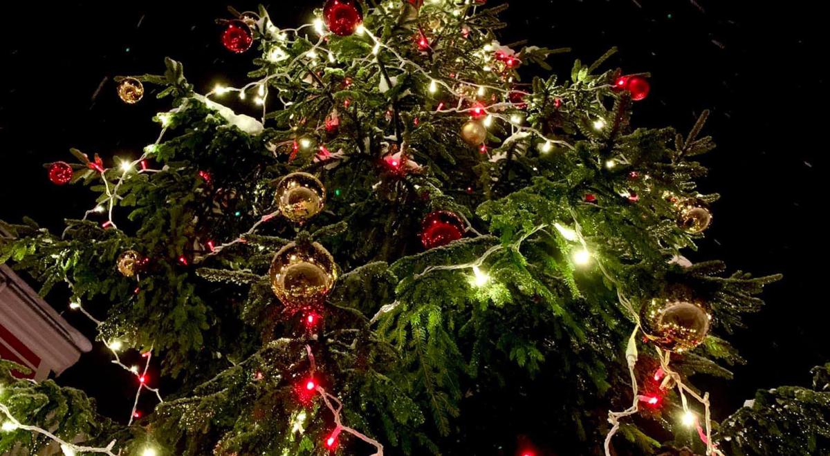 Féeries de Noël de Barcelonnette - Féeries de Noël de Barcelonnette