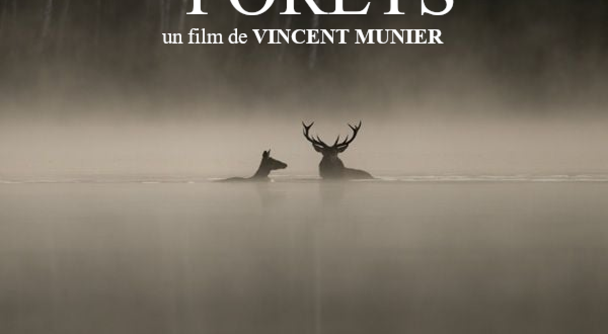 Projection Cinévadrouille film "Le Chant des Forêts"_Espinasses