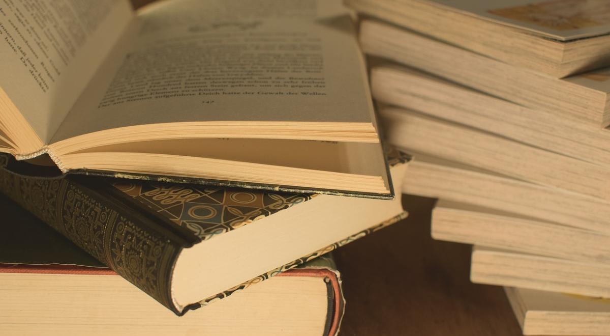 Bourse aux livres_Seyne - Livres