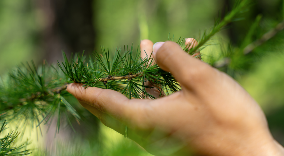 Pure Flow - Festival Sport &amp; Bien-Être en Montagne_Les Orres