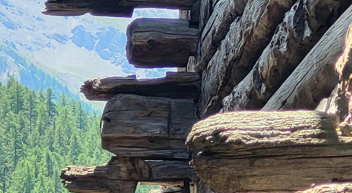 Les petits explorateurs et les maisons fustes_Molines-en-Queyras