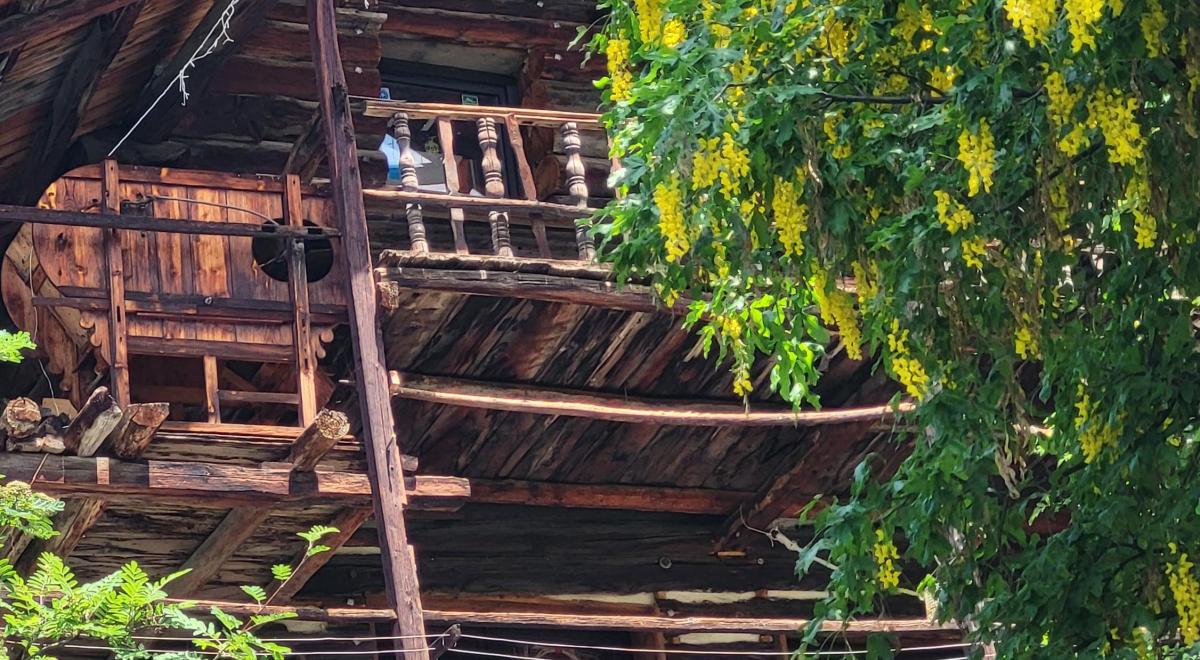 Les petits explorateurs et les maisons fustes_Molines-en-Queyras