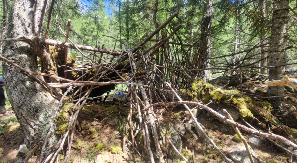 Decouverte de l'escalade indoor et cabane dans la foret au Club enfants_Les Orres - Decouverte de l'escalade indoor et cabane dans la foret au Club enfants_Les Orres