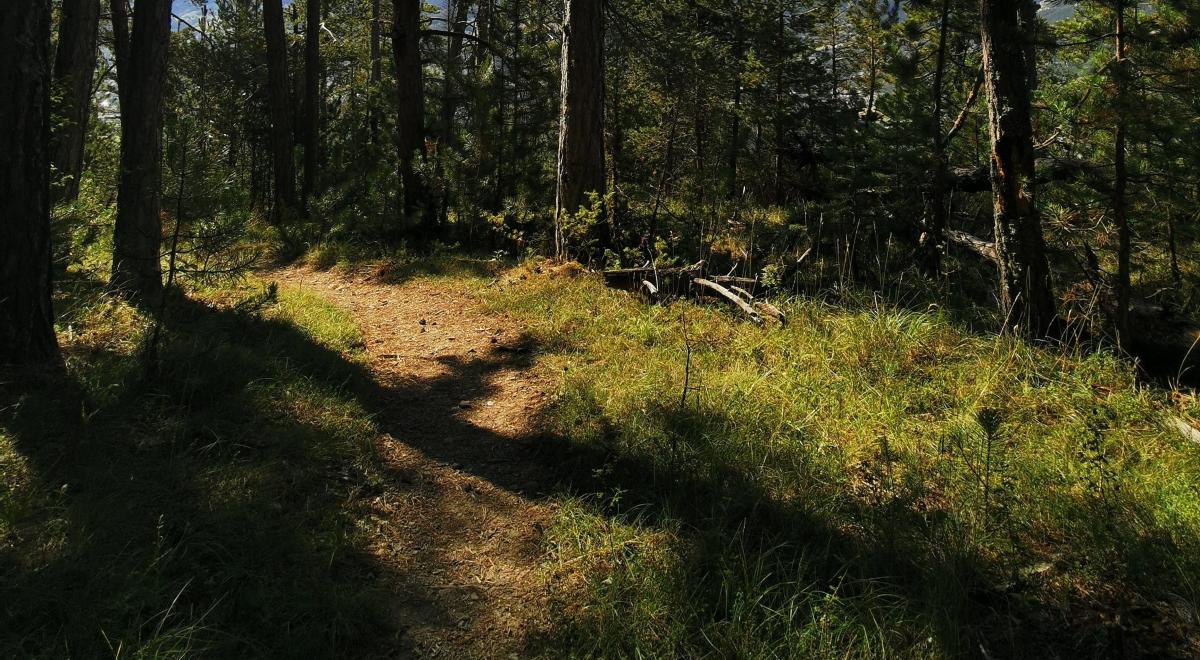 festival de la biodiversité - Auzet