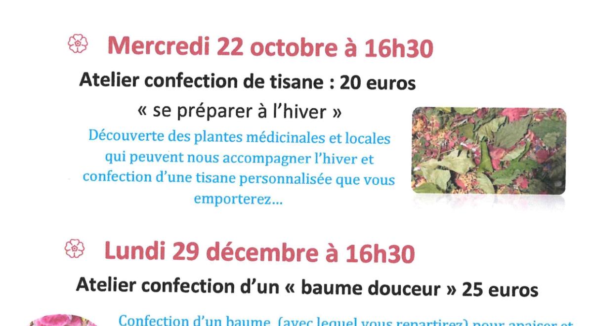 Atelier découverte herboristerie au café des arts_Montclar - affiche