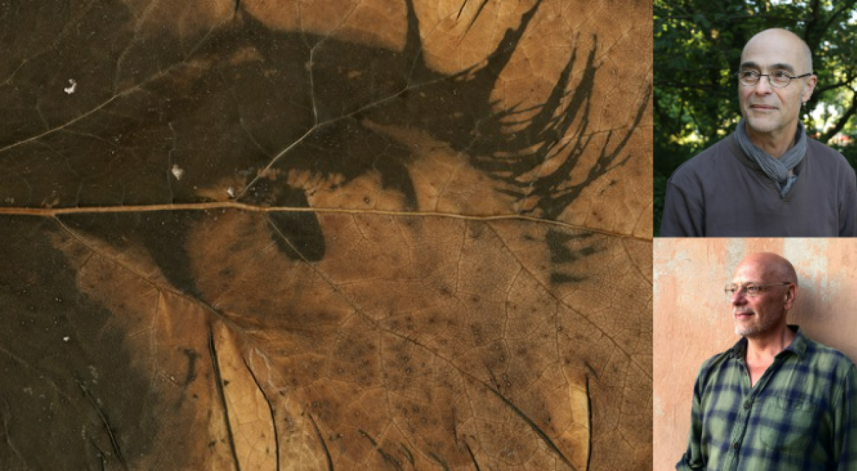 Novembre à la page &quot;Création d'un livre photographique&quot; CLA - Novembre à la page &quot;Création d'un livre photographique&quot; CLA