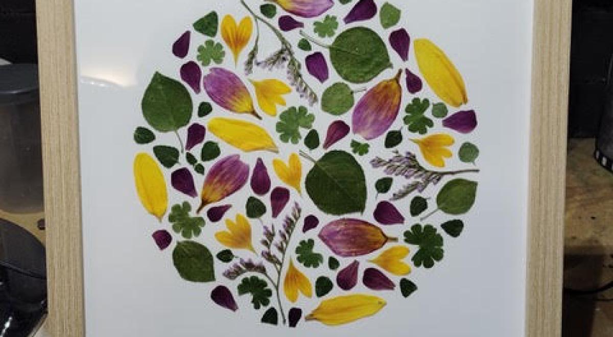 atelier création d'herbier EMBRUN - atelier création d'herbier EMBRUN