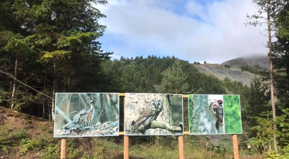 Exposition naturaliste en plein air - Exposition_naturaliste_Négron