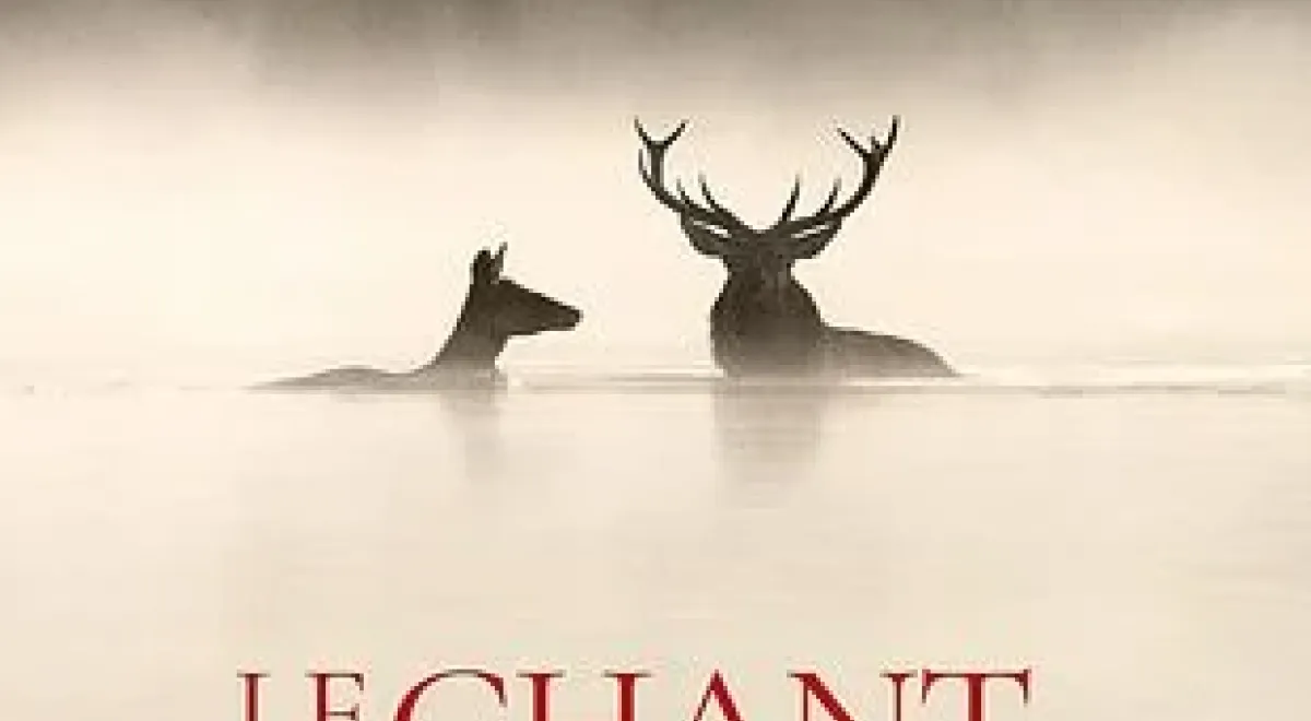 Cinéma : Le chant des forêts_Les Orres - Cinéma : Le chant des forêts_Les Orres