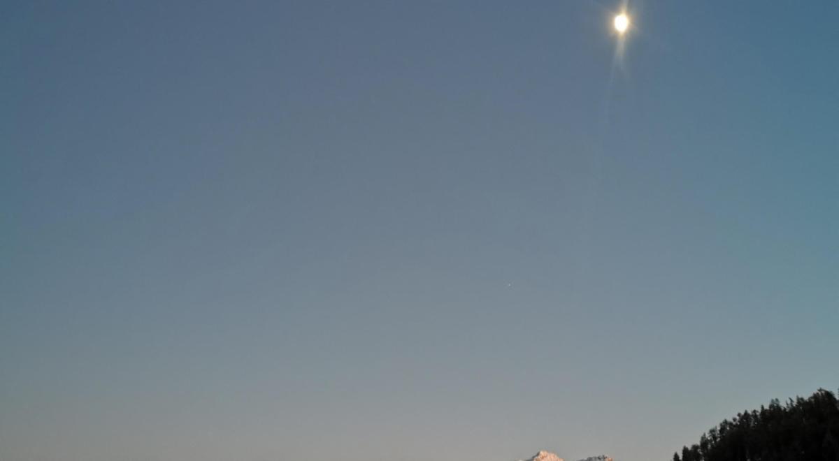 projection reportage REALLON - projection reportage REALLON