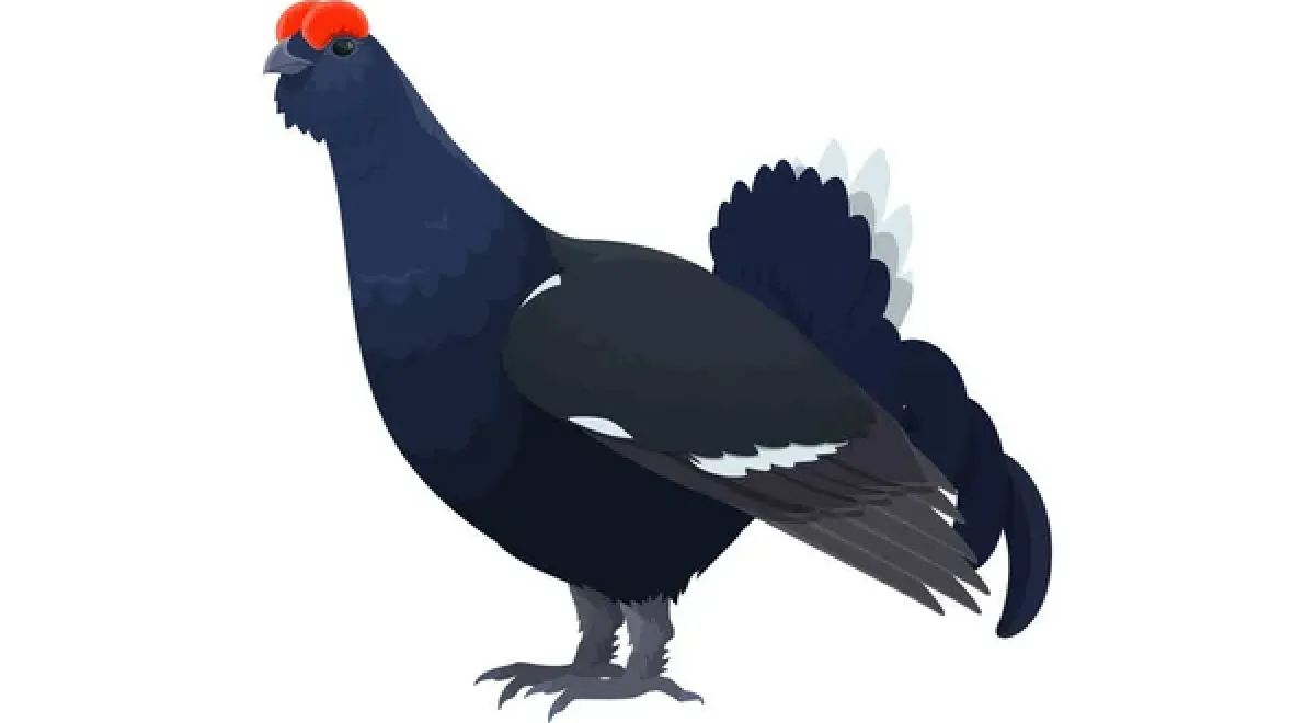 Atelier créatif "les oiseaux de la montagne - Café des arts_Montclar - Atelier créatif "les oiseaux de la montagne"