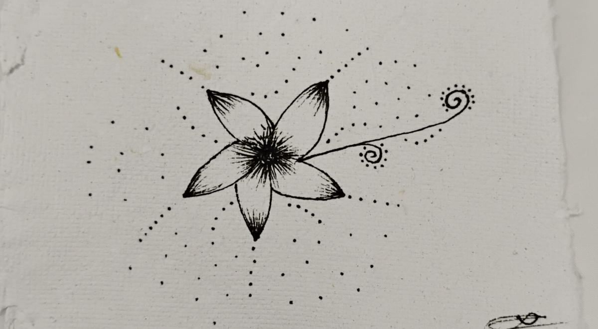 Histoire de papier_Pra Loup 1600