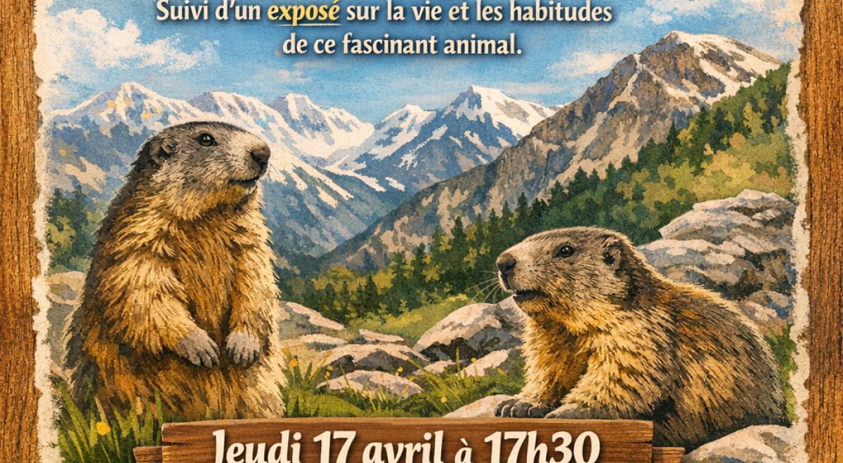 Projection et échanges sur les marmottes_Réotier