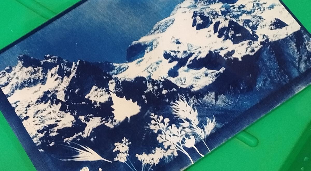 Atelier cyanotype EMBRUN - Atelier cyanotype EMBRUN