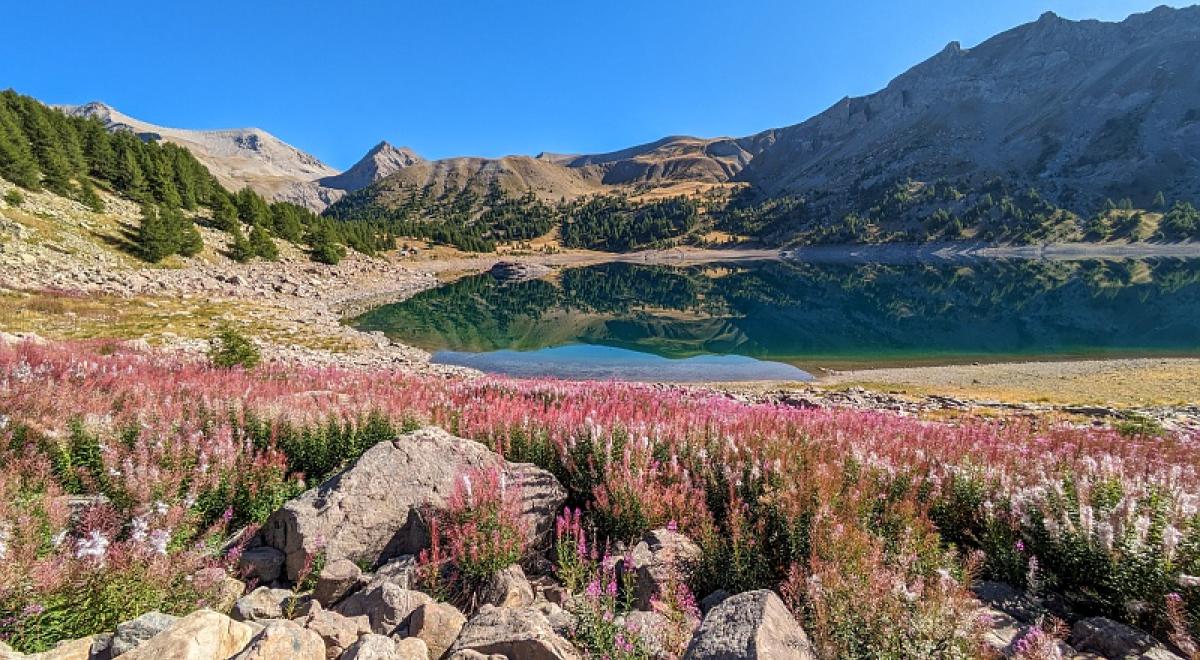 Biodiversité : connaître pour protéger_Allos - Lac d'Allos en été