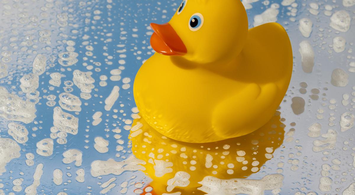 Pêche aux canards - Pêche aux canards