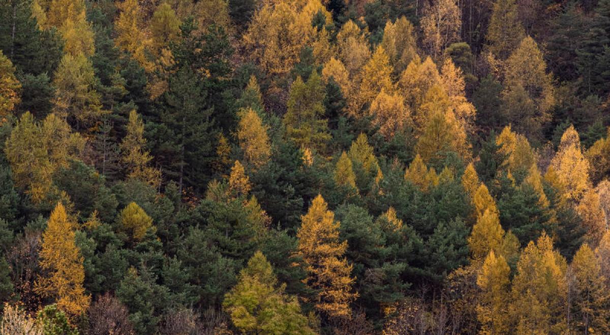 Rando curieuse : Les eaux chaudes de Phazy_Guillestre