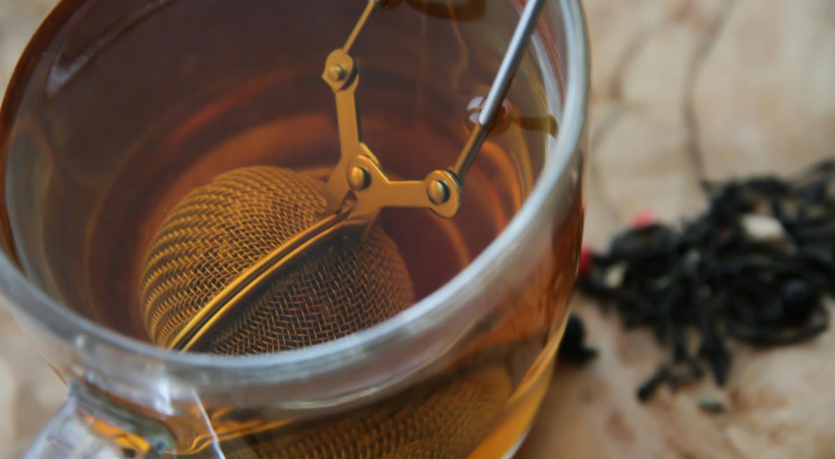 Atelier Herboristerie : découverte des plantes toniques_Montclar - Atelier Herboristerie : découverte des plantes toniques_Montclar