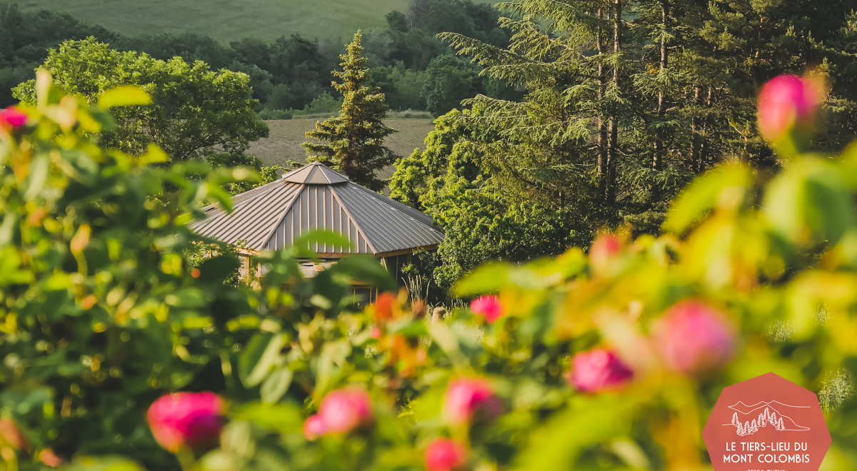 Rendez-vous en terres connues : Cueillette et distillation de roses._Théus