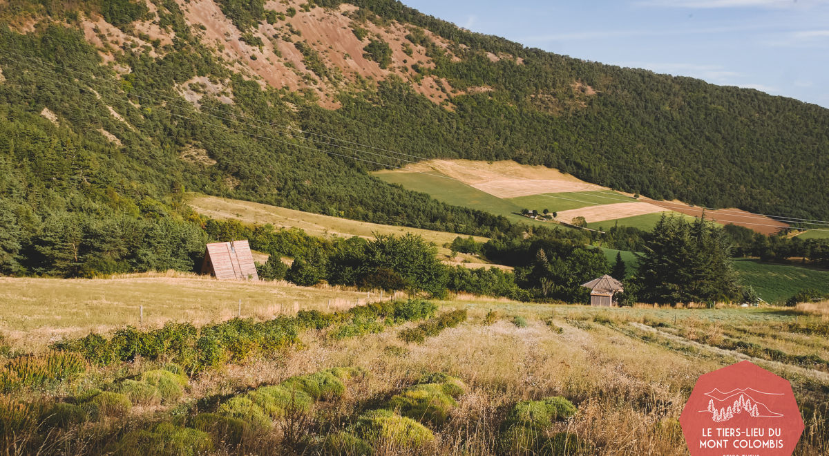 Rendez-vous en terres connues : Cueillette et distillation de roses._Théus