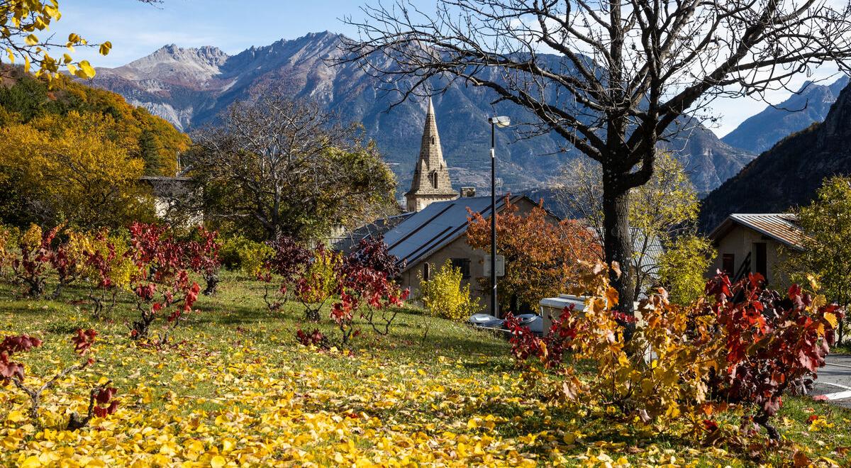 Visite guidée : Donjon sans dragon_Saint-Clément-sur-Durance