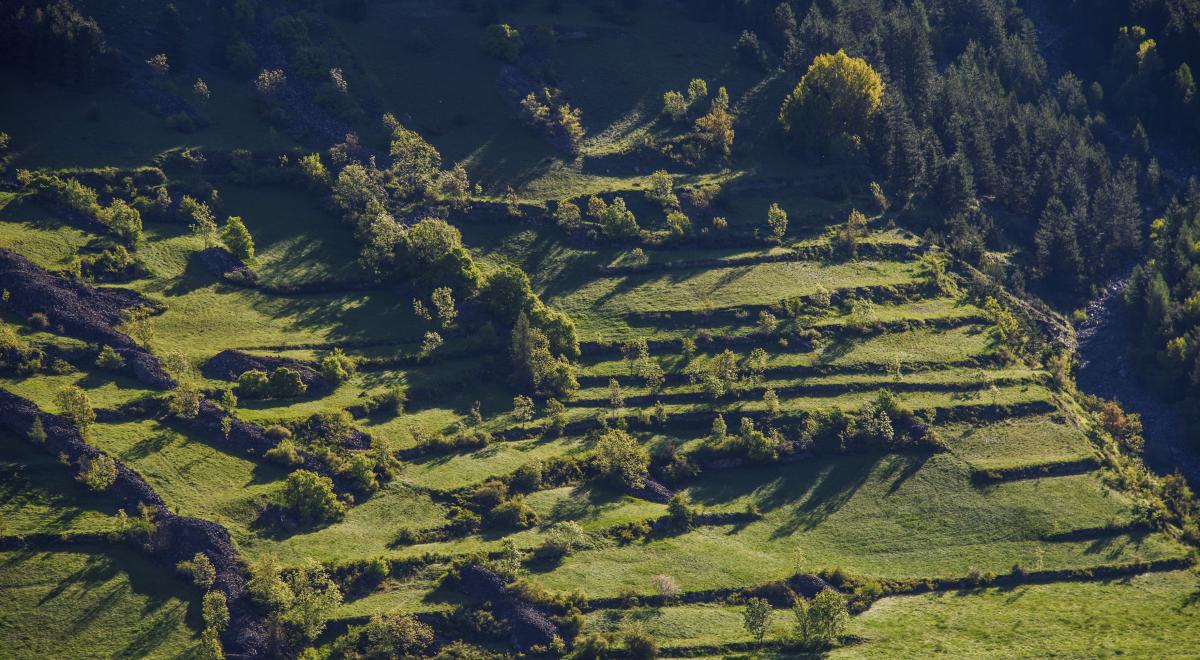 Les petits explorateurs et les terrasses d'Hercule_Réallon