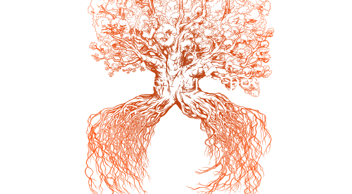 Conférence : Arbres, des super-pouvoirs?!_Les Orres - Conférence : Arbres, des super-pouvoirs?!_Les Orres