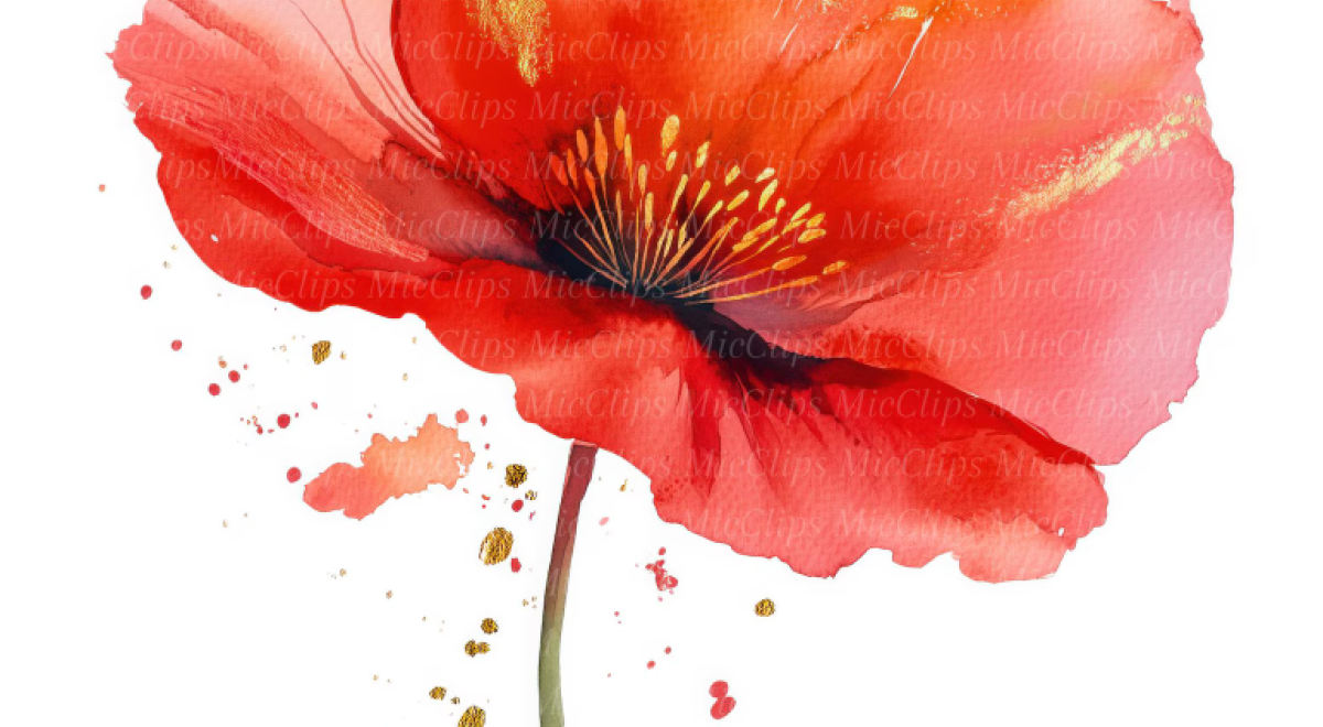 atelier aquarelle fleurs d'été EMB - atelier aquarelle fleurs d'été EMB