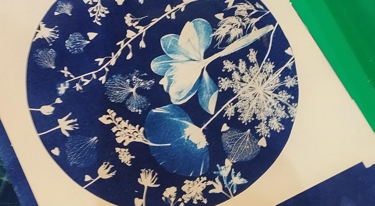 atelier cyanotipe EMB - atelier cyanotipe EMB