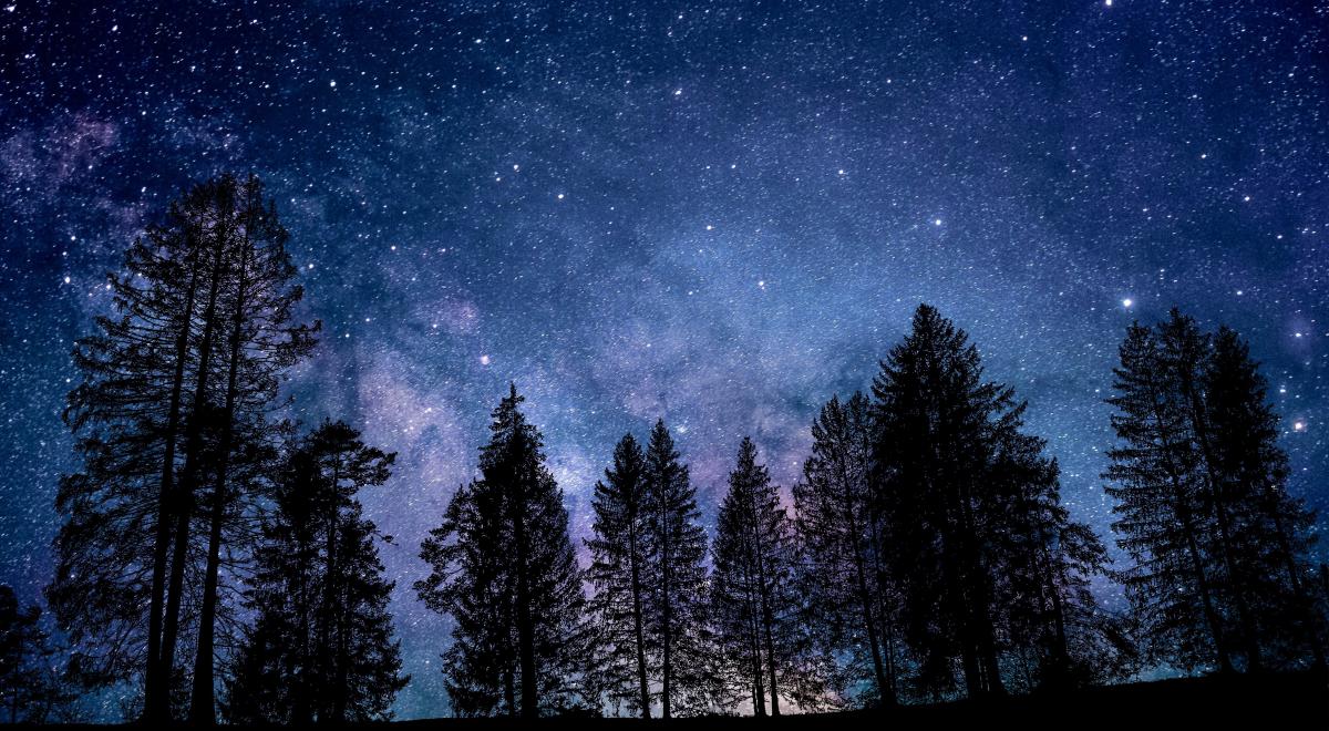 Rendez-vous de l'été : Une nuit dans la nature_La Bâtie-Neuve