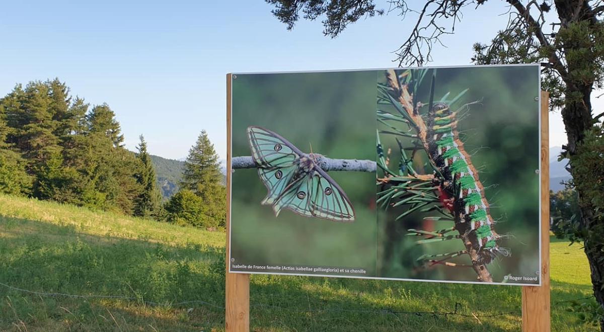 Exposition naturaliste en plein air - Expo naturaliste Roger Isoard