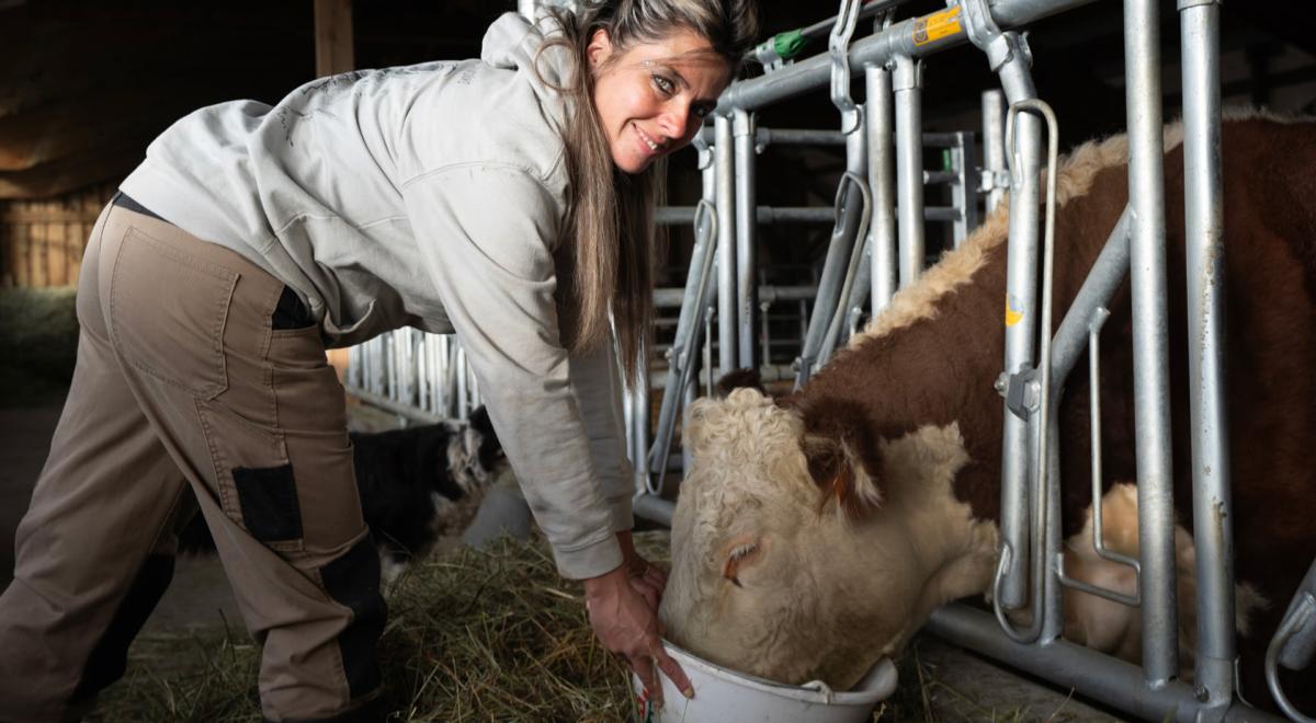 Rencontre culturelle : À la découverte du métier d'éleveuse bovin_Saint-Paul-sur-Ubaye