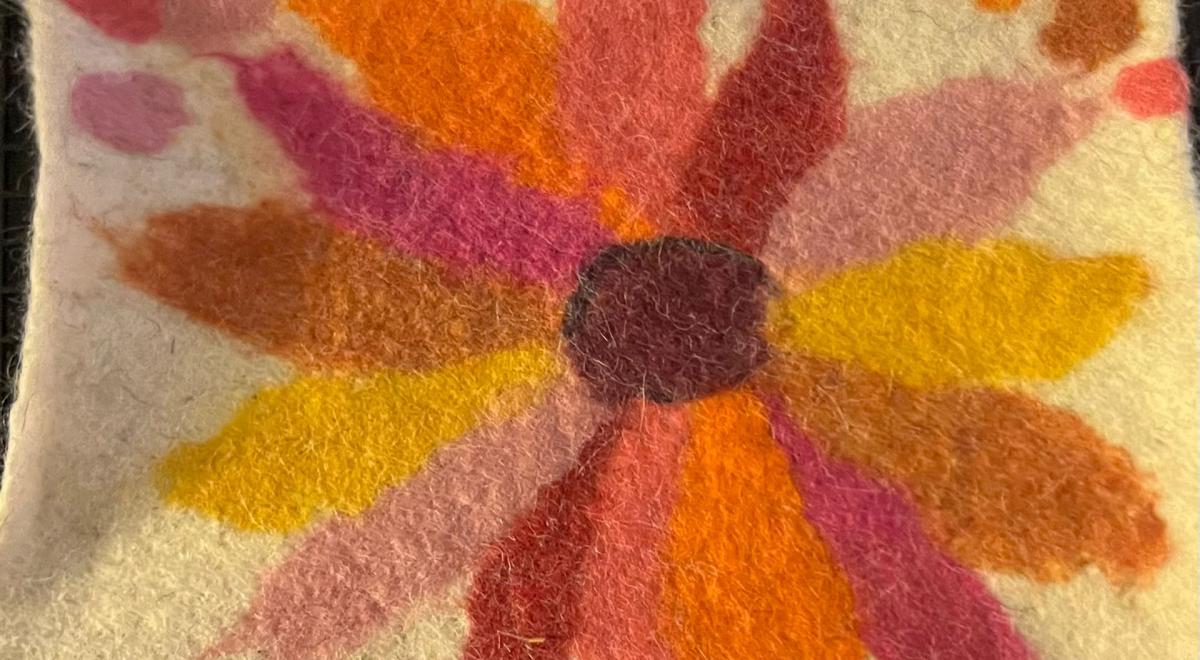 Week-end laine - Méolans-Revel