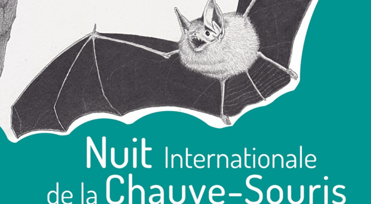Nuit internationale de la Chauve-souris