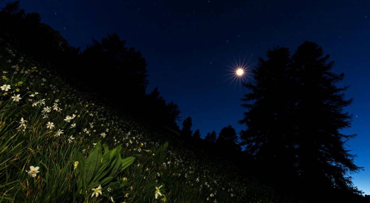 nuit