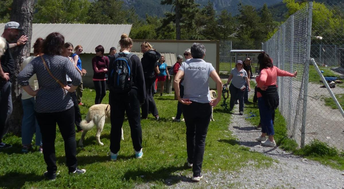 20 ans de protection animale : fête au refuge AUDACCE_Saint-Pons