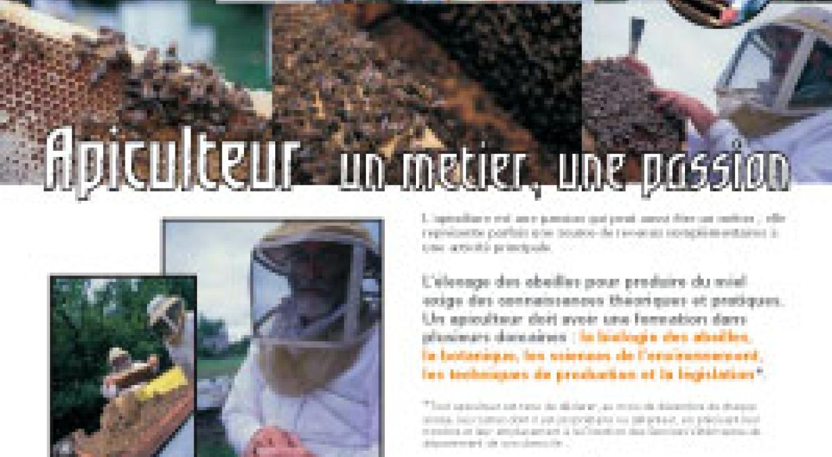 Exposition "les abeilles"_Montclar - md04