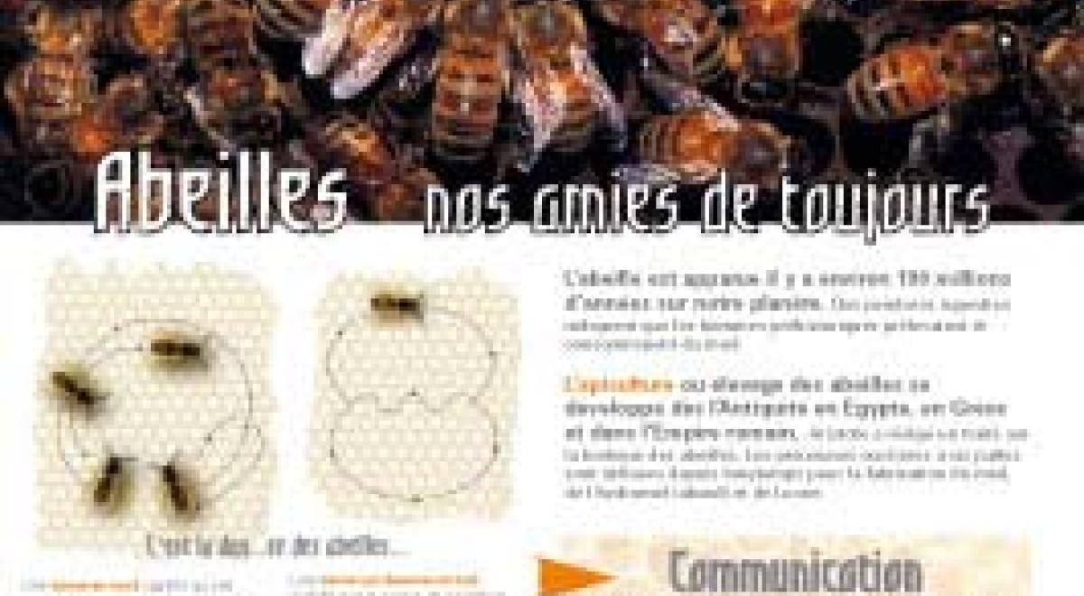 Exposition "les abeilles"_Montclar - md04